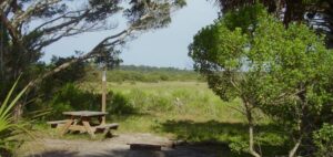 Faver Dykes State Park St. Augustine