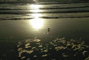 St. Augustine Beach F Street