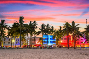 22 Reasons Why Florida is the Must-See Vacation Spot of 2019