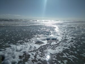 Swim Safely in the Tides