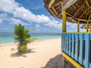 Palm Tree on the Beach by a Pergola