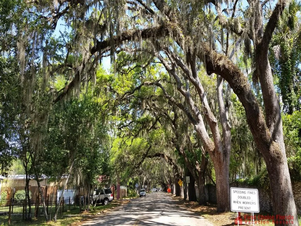 Magnolia Street St. Augustine