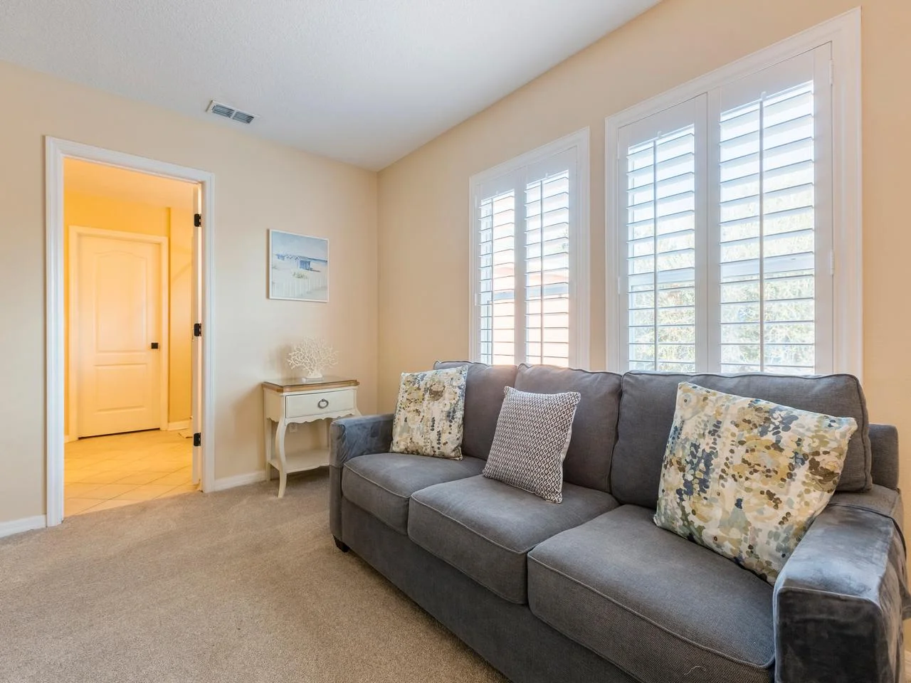 Cozy primary bedroom with plush queen sofa sleeper and natural light