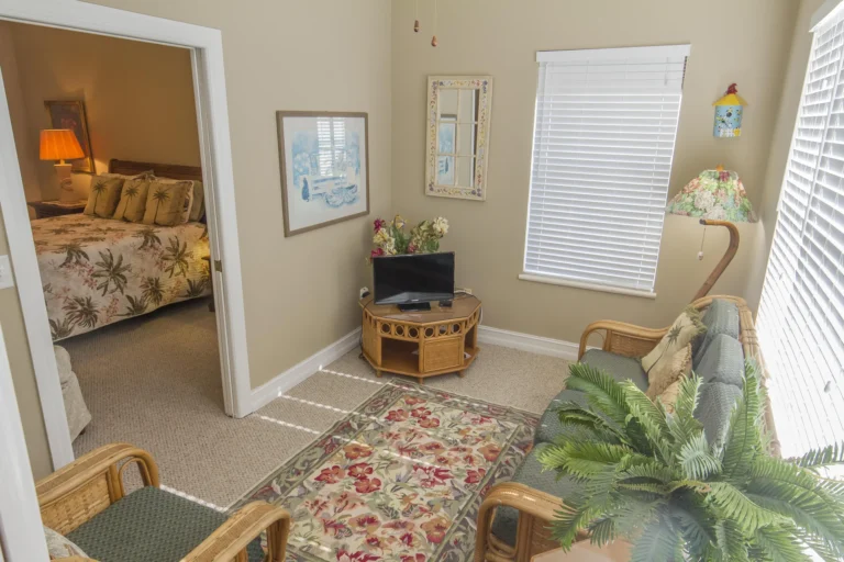 Sunroom with wicker loveseat, patterned area rug, floral lamp, and TV on a rattan corner table.