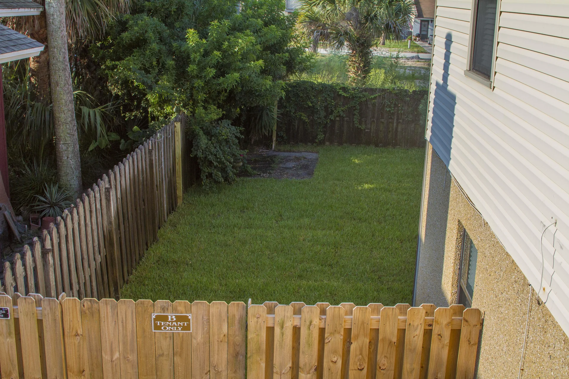 Fenced backyard with grass lawn bordered by wooden picket fences and dense greenery along one side.
