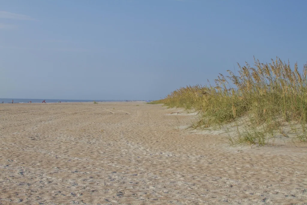 Wide sandy beach stretches toward calm ocean under a clear blue sky, bordered by tall sea oats on the right.
