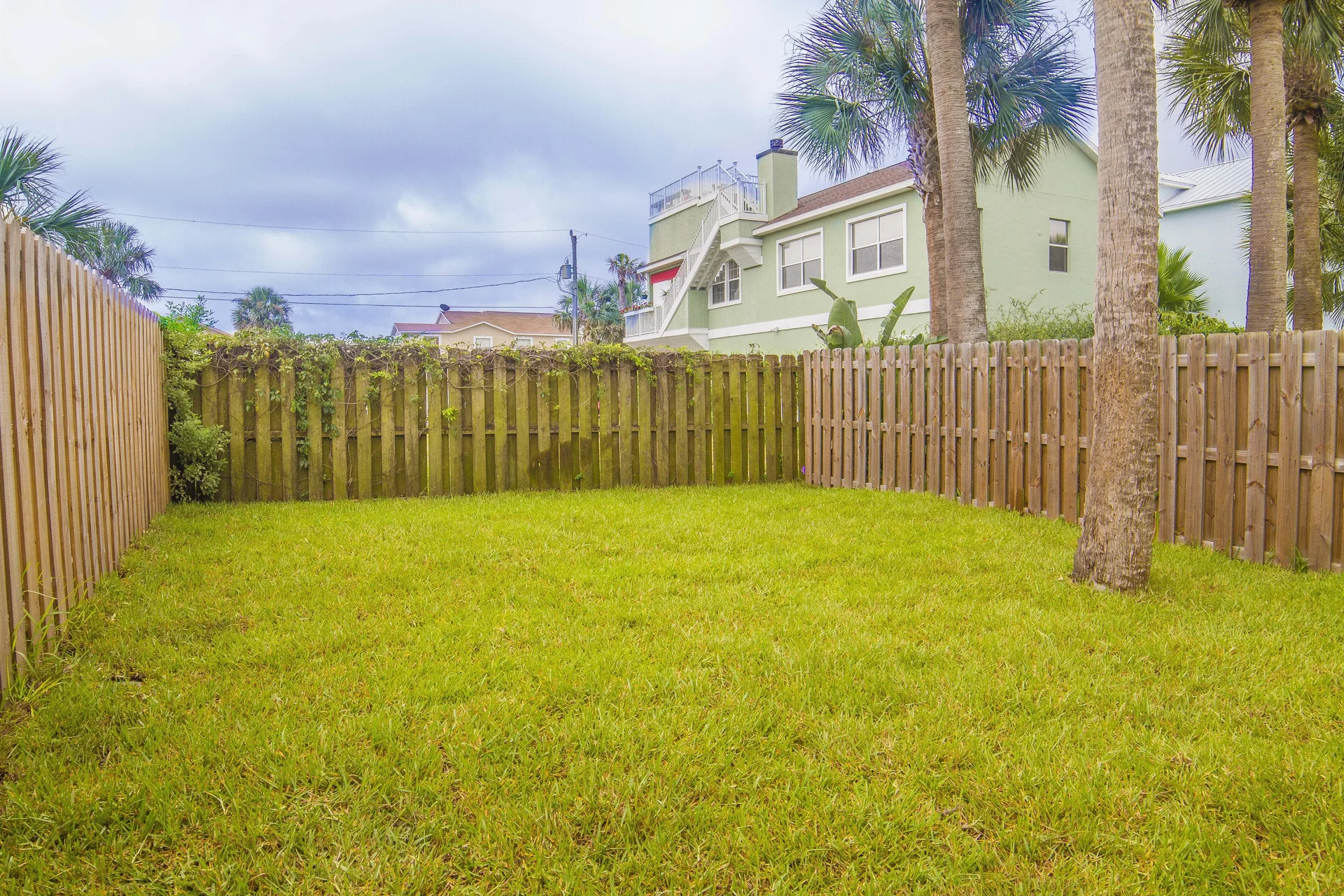 Fenced backyard with green grass and tall palm trees under an overcast sky.