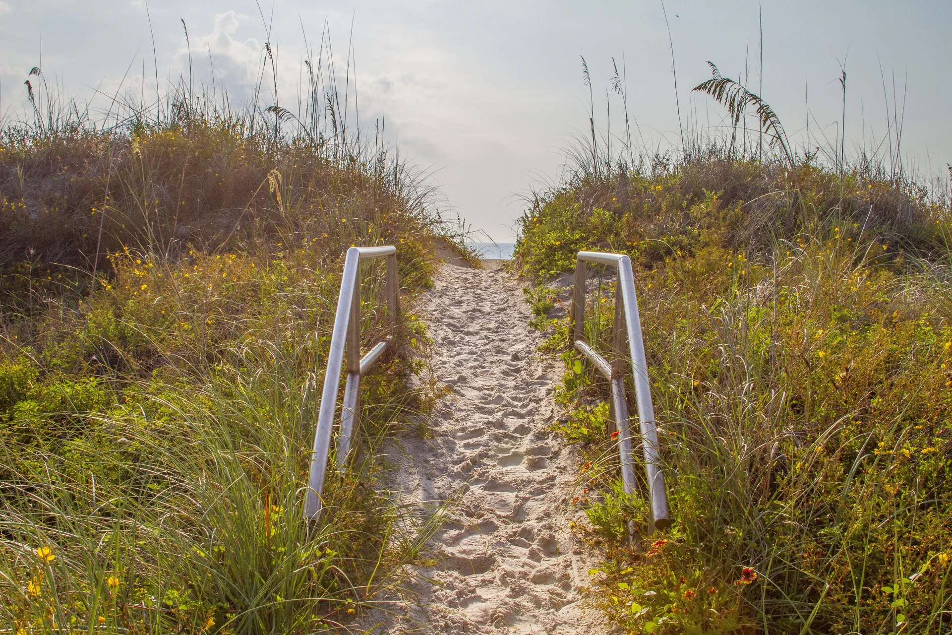 Sandy path flanked by metal handrails winds through tall grasses and wildflowers toward the ocean horizon.