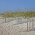 Sandy beach path bordered by weathered wooden fences and tall sea oats under a clear blue sky.