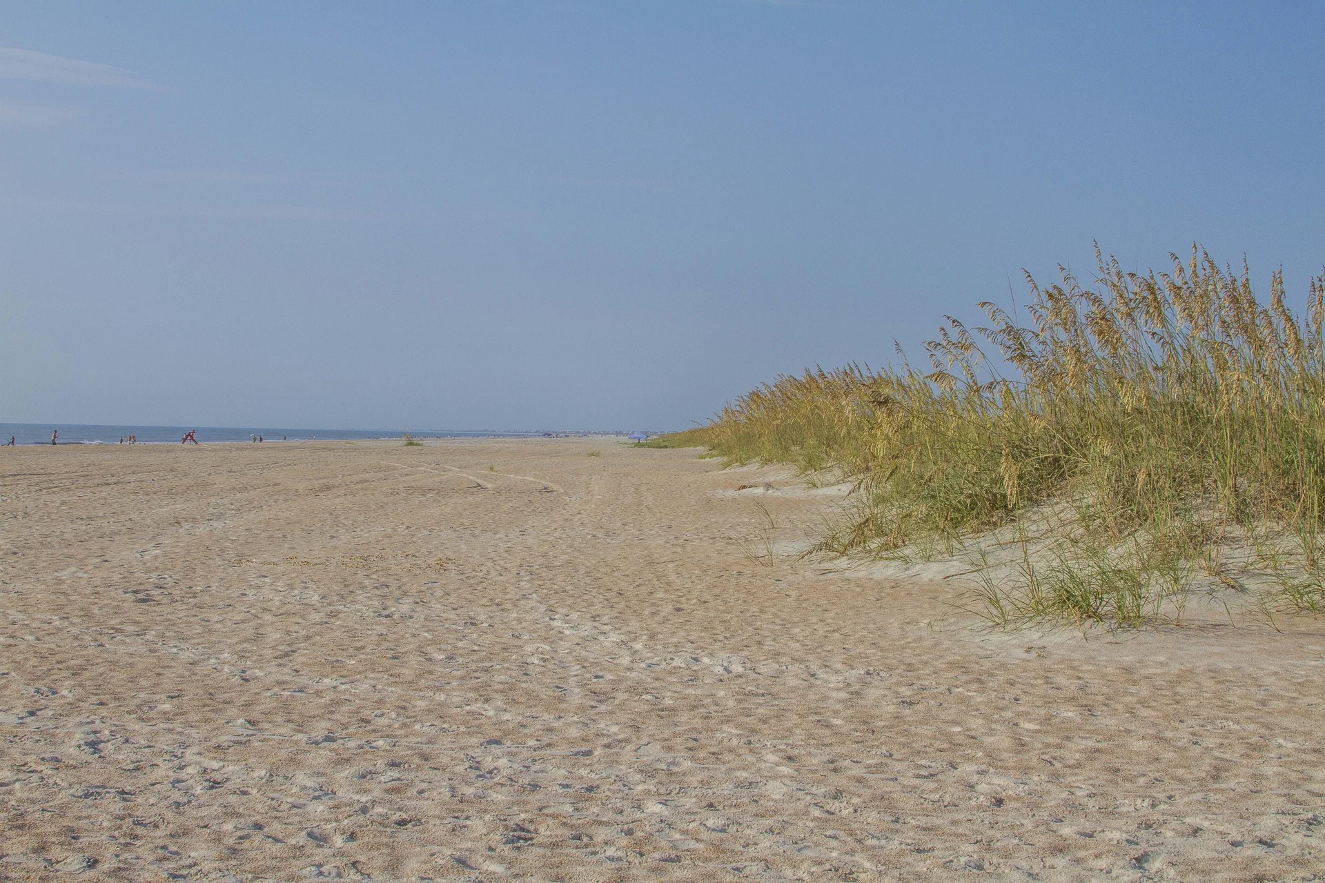 Wide sandy beach stretches toward the horizon with tall sea oats lining the shore under a clear blue sky.
