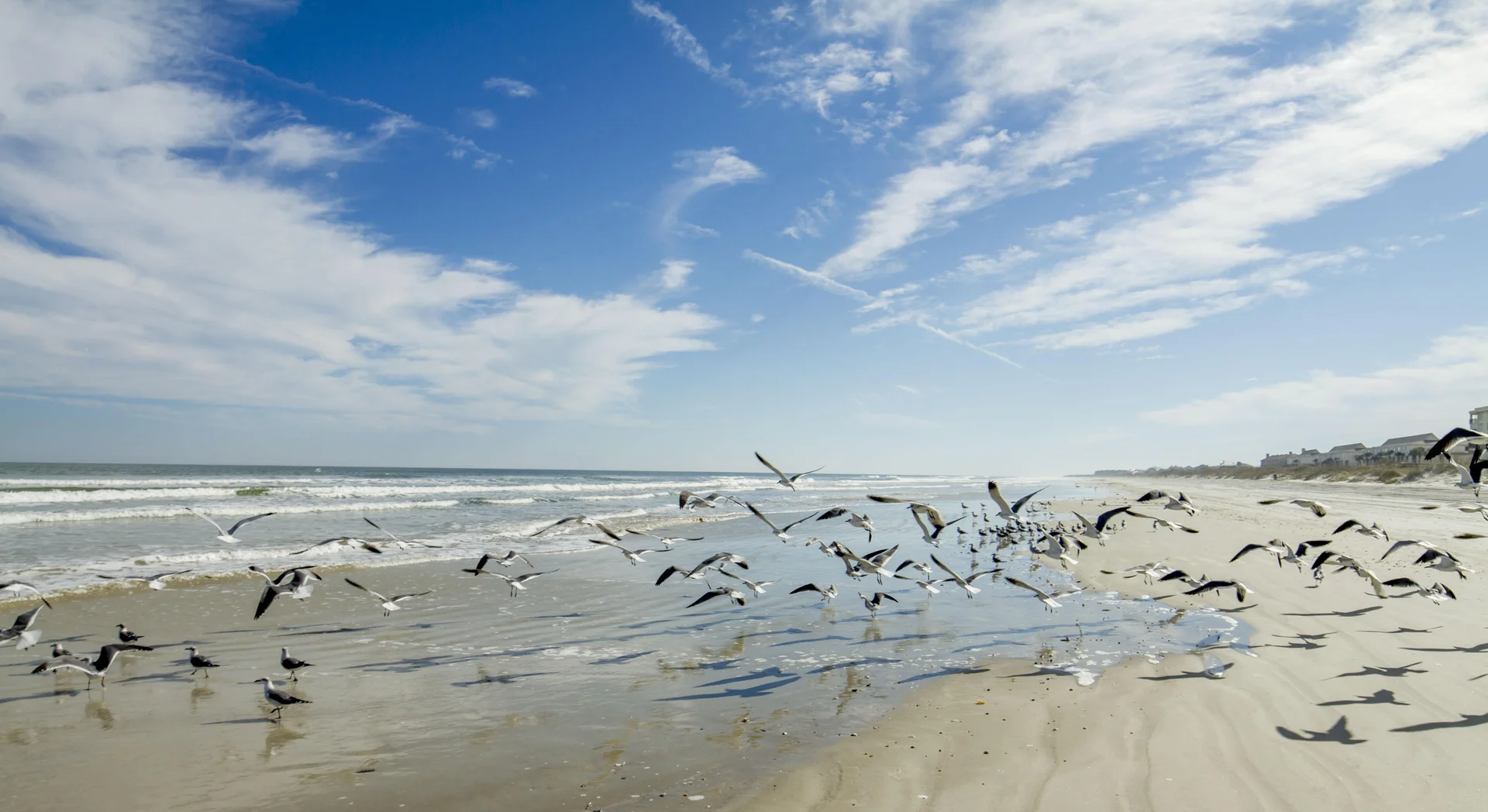Sea Place 14245 - Beachfront