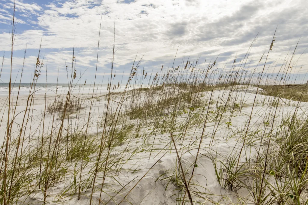 Sea Place - Sand Dunes