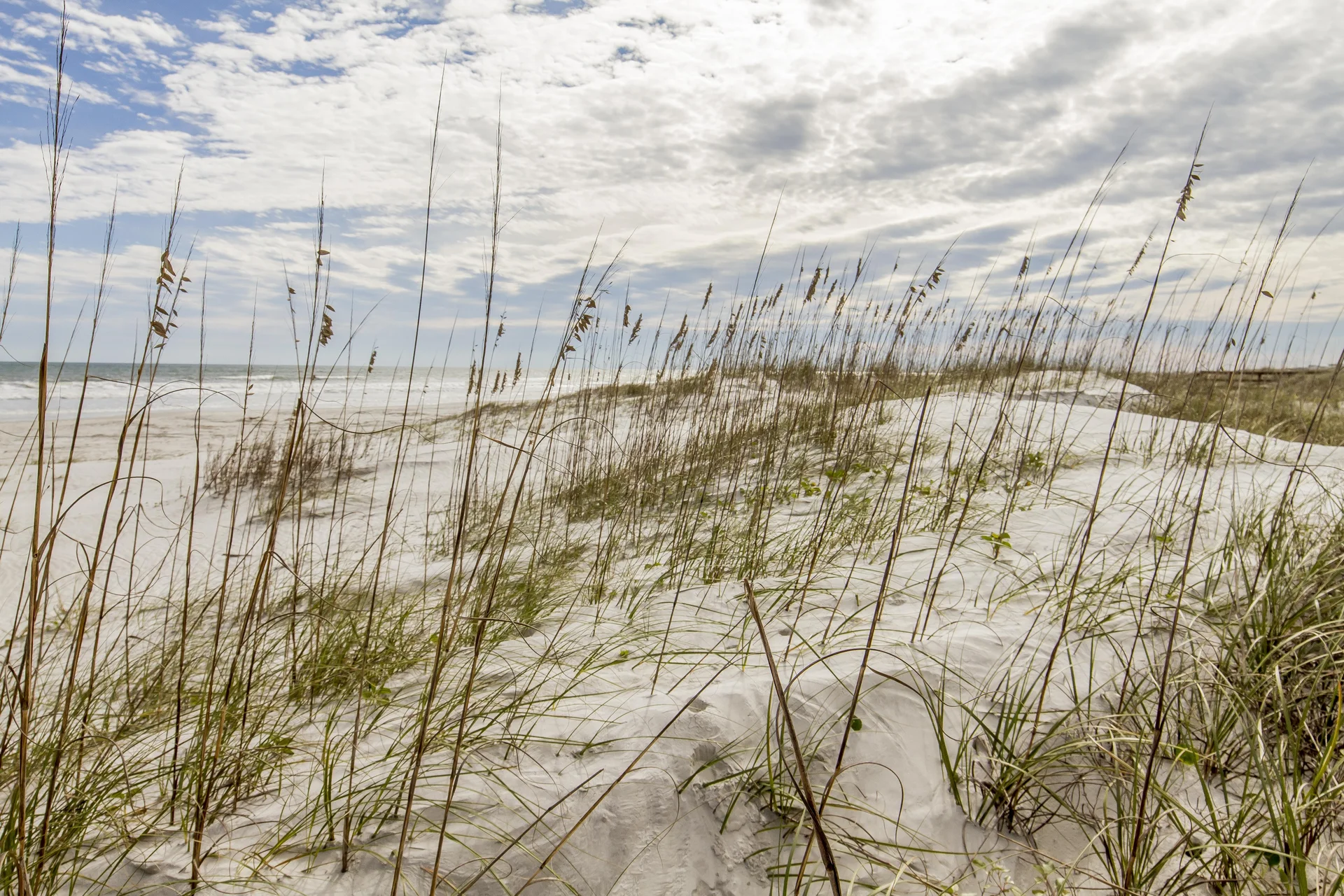 Sea Place - Sand Dunes
