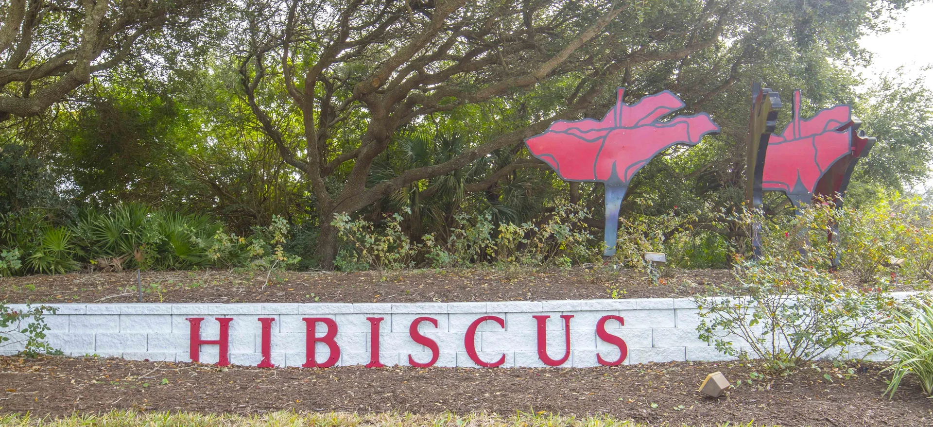Hibiscus I201