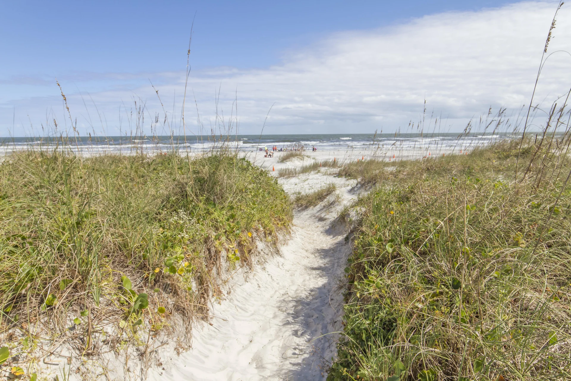 Sandy path meanders through beach grass toward a white sand shoreline and gentle ocean waves under blue sky.