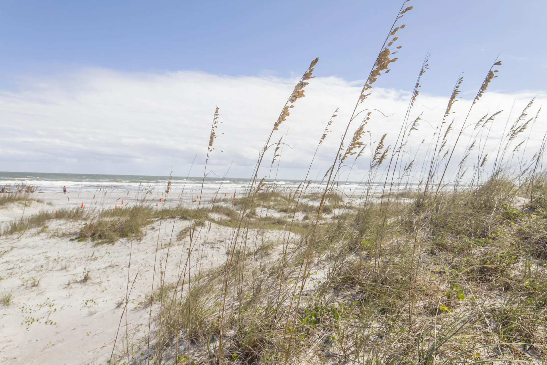 Dune grasses sway over white sand dunes leading to a gently rolling ocean under a pale blue sky.