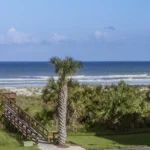 Ocean and Racquet 8304 photo 793632