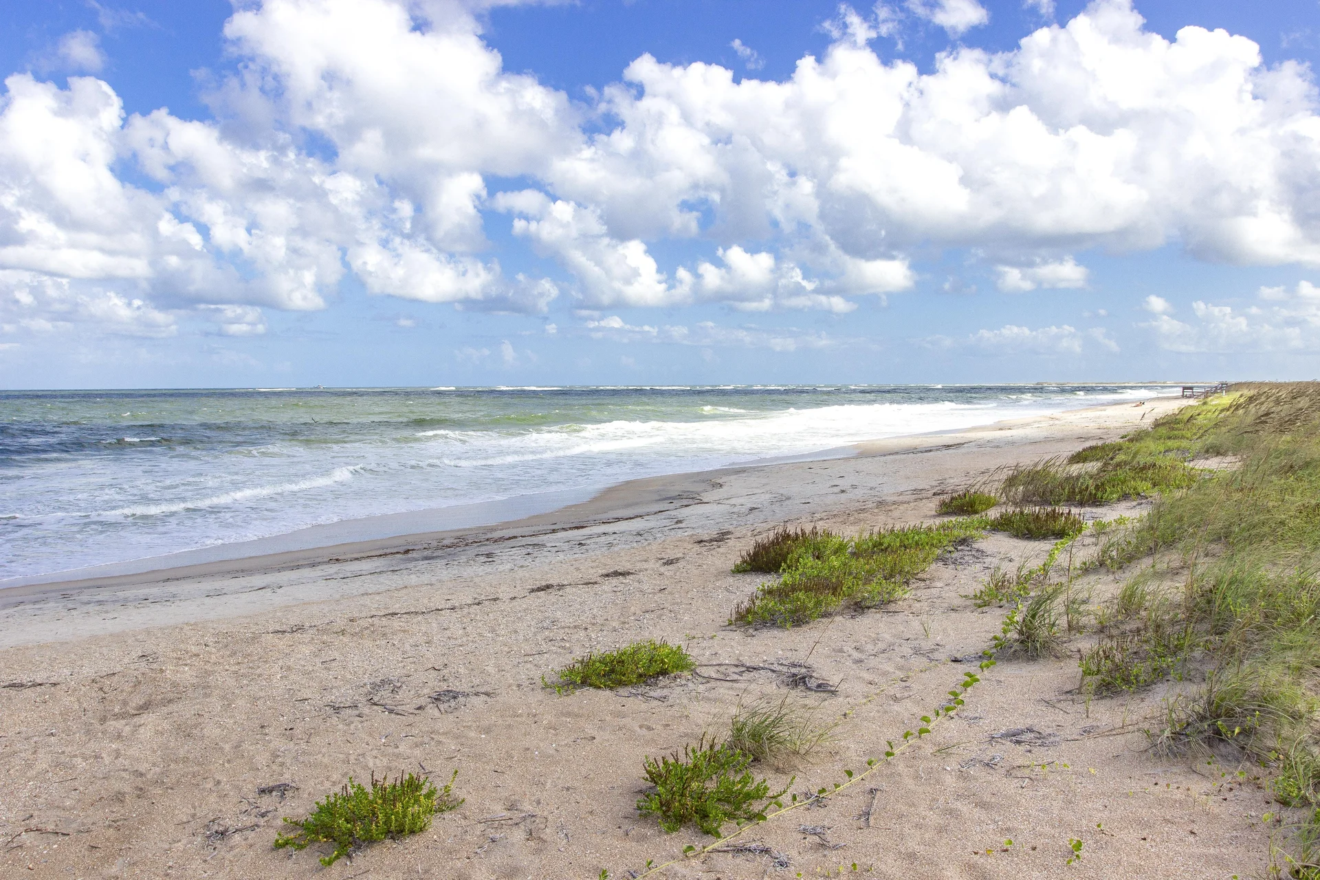 Sandy shoreline with scattered green beach plants, gentle waves, and a partly cloudy blue sky overhead.