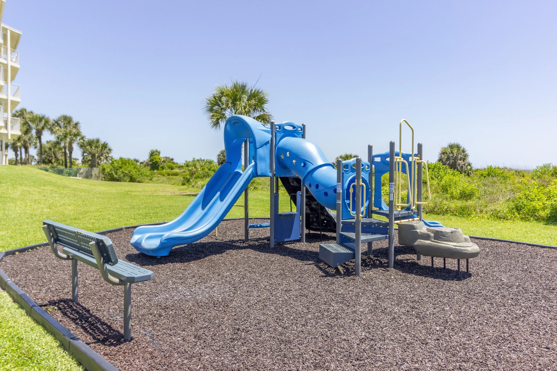 Colony Reef Playground