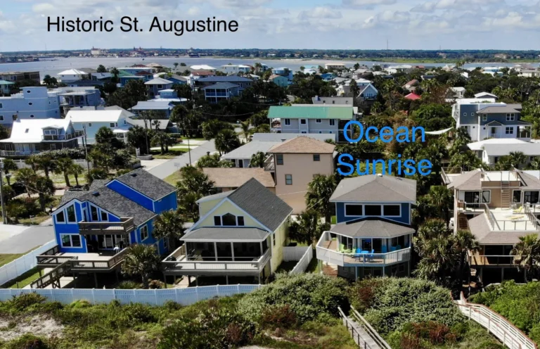 Ocean Sunrise - Aerial Neighborhood