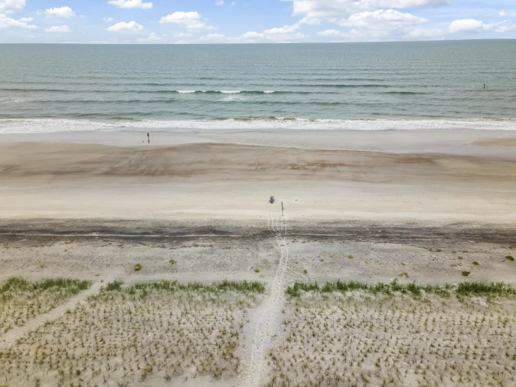 Ocean Oasis View