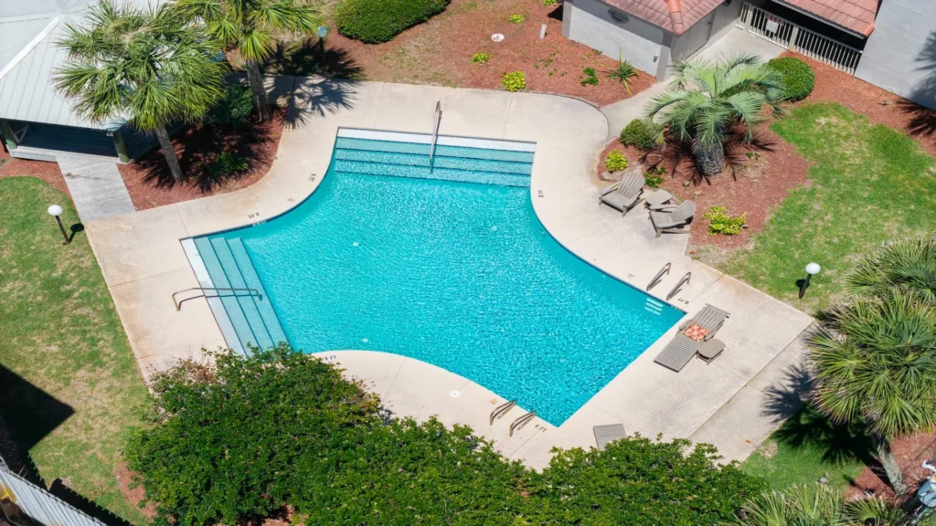 Outdoor swimming pool with curved edges, built-in steps, surrounded by lounge chairs and palm trees.