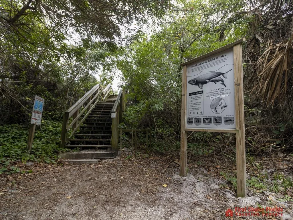 Tarpon Run 35 - Beach Access