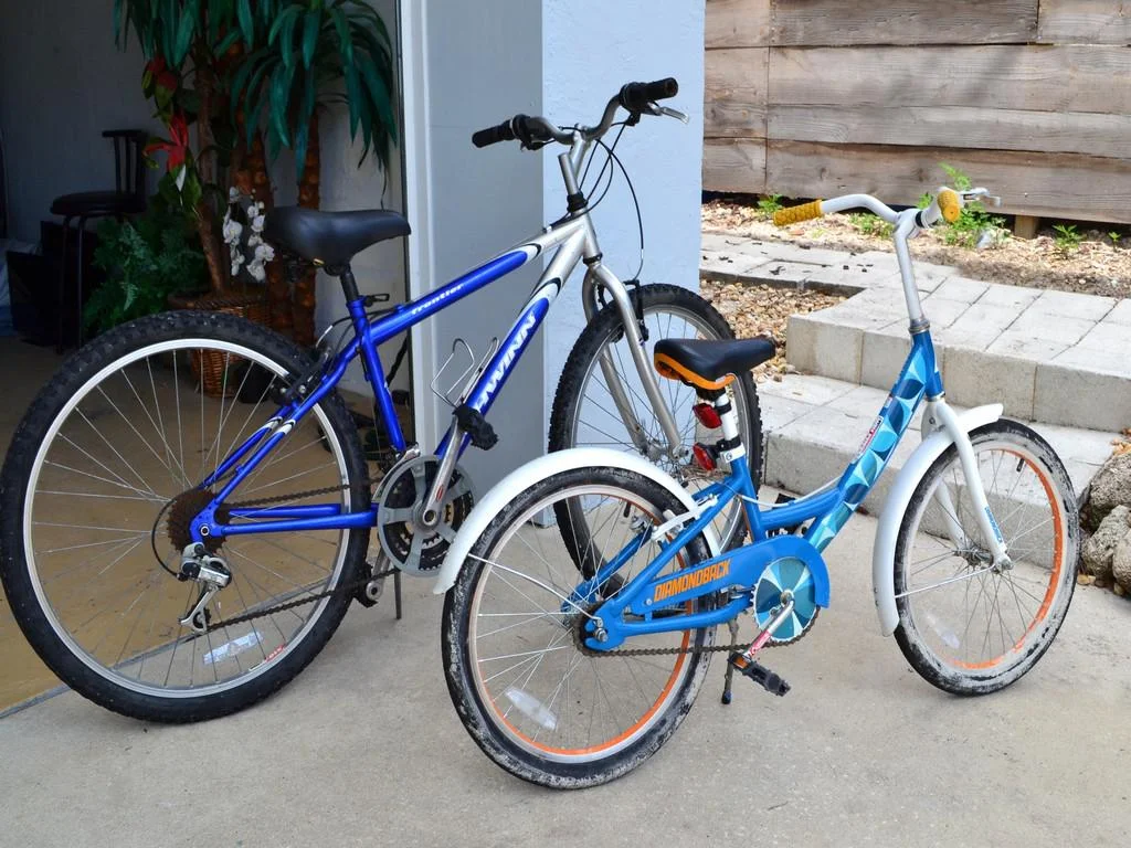 Two bicycles, one blue mountain bike and one smaller blue cruiser, parked on a concrete patio near a wooden fence.
