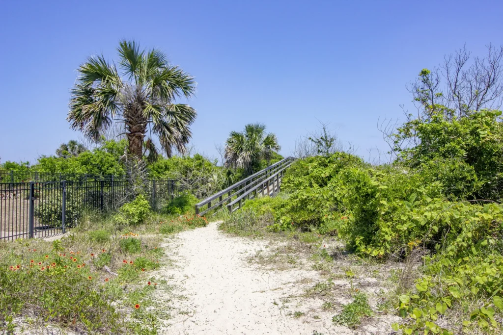 Barefoot Beach Cottage photo 1599855