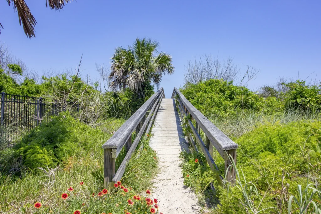 Barefoot Beach Cottage photo 1599856